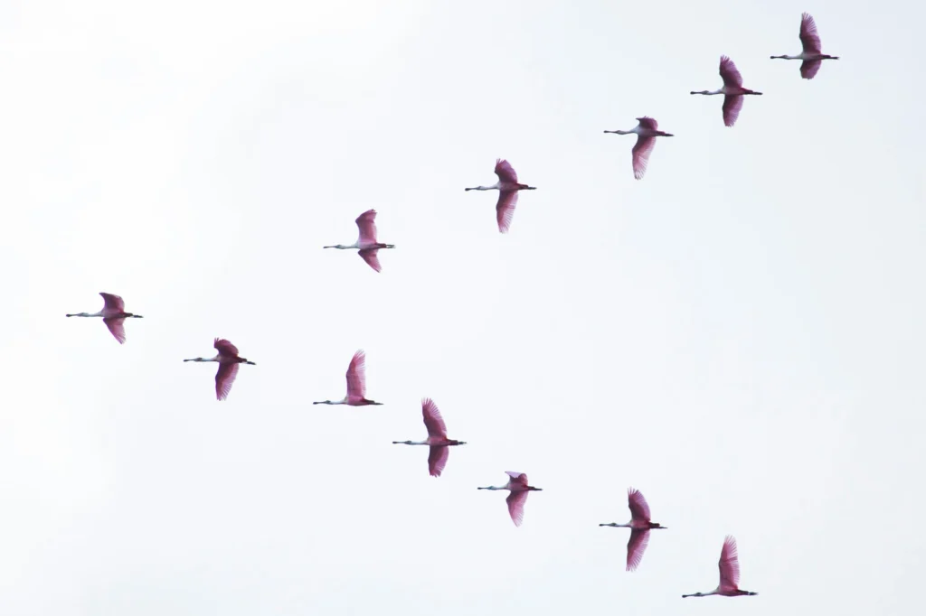 Hedge funds are back: why brand clarity and communications strategy matter in 2026